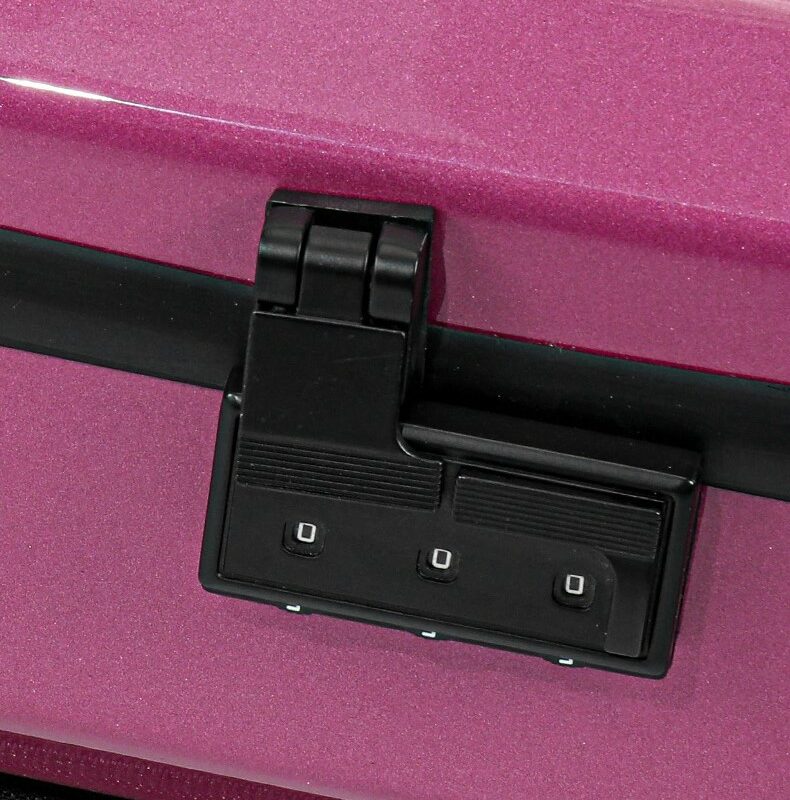 JML TT VI Carbon Fiber Viola Case (4)