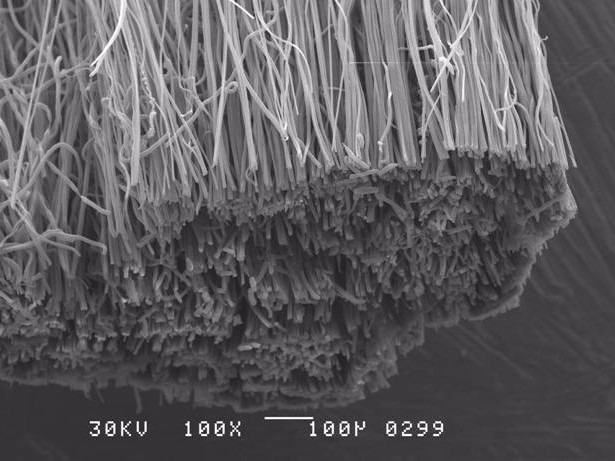 42ebb741 b448 4e9d 98a6 2b85cc878e6c